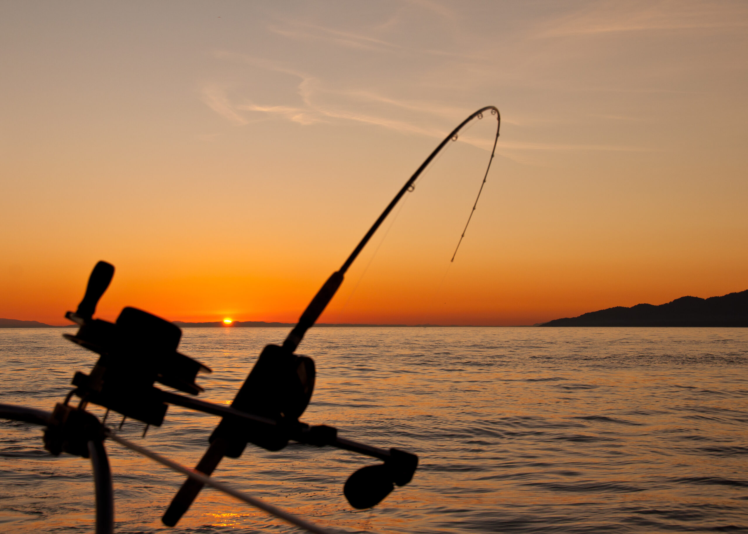 Best Fishing Spots in Dubai for a Fun Weekend